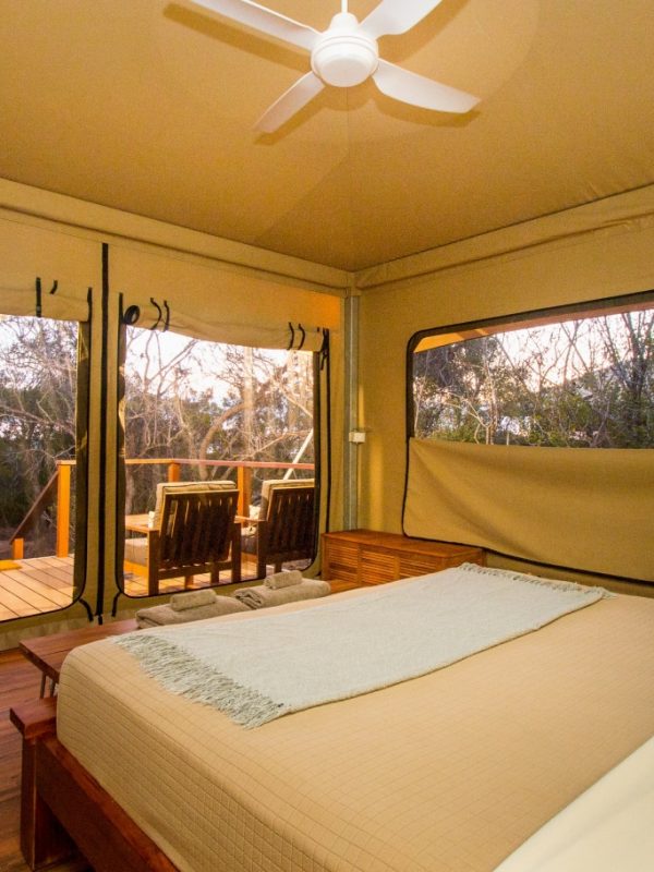 View from inside a deluxe safari tent, where guests staying in this tent care a short distance from the turquoise waters of Cygnet Bay. Above the bed is a ceiling fan to keep cool, and on the deck are two comfortable chairs for relaxing.