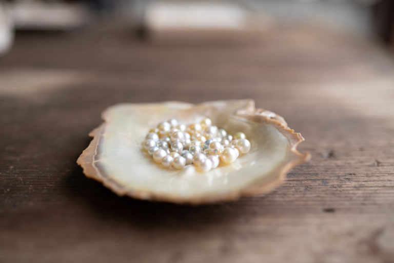 A group of Australian Akoya pearls grown at our Broken Bay Pearl Farm sit on an Australian South Sea Mother of Pearl Shell.