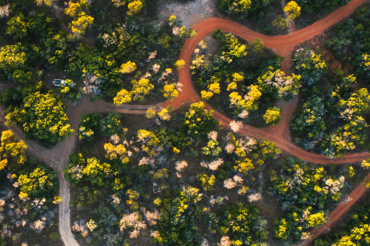 An aerial view of the stunning, rugged landscape of the Dampier Peninsula's terrain and dirt roads to multiple camping and caravan locations for vacationers to pitch a tent up at. Each camp site is surrounded by native, Australian plants that create privacy for the campers - a truly serene experience.