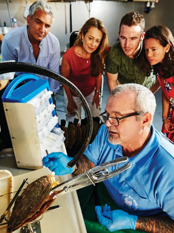 A Pearl Technician shows a group of visitors his technique when cultivating our Australian South Sea pearls at our Cygnet Bay Pearl Farm.