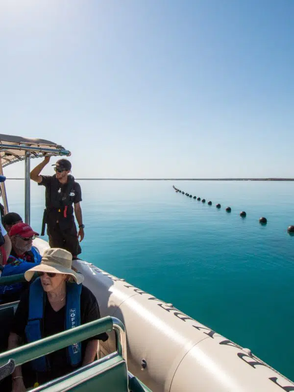 A Cygnet Bay Pearl Farm boat sits still on the tranquil waters of the Kimberley coast. The tour guide on board is showing guests the long lines of where our Australian pearl shell panels are held in place between anchors and buoys to grow our beautiful Australian South Sea oysters.