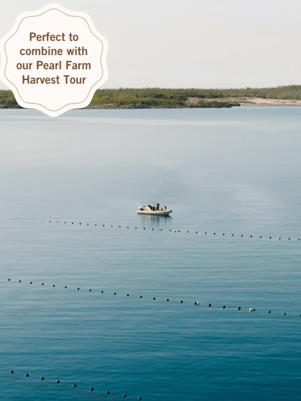 A photo of pearl farm boat moving along the lines, while guests learn about all the pearl culturing and harvesting processes that we conduct at Cygnet Bay Pearl Farm on our Pearling Cruise.