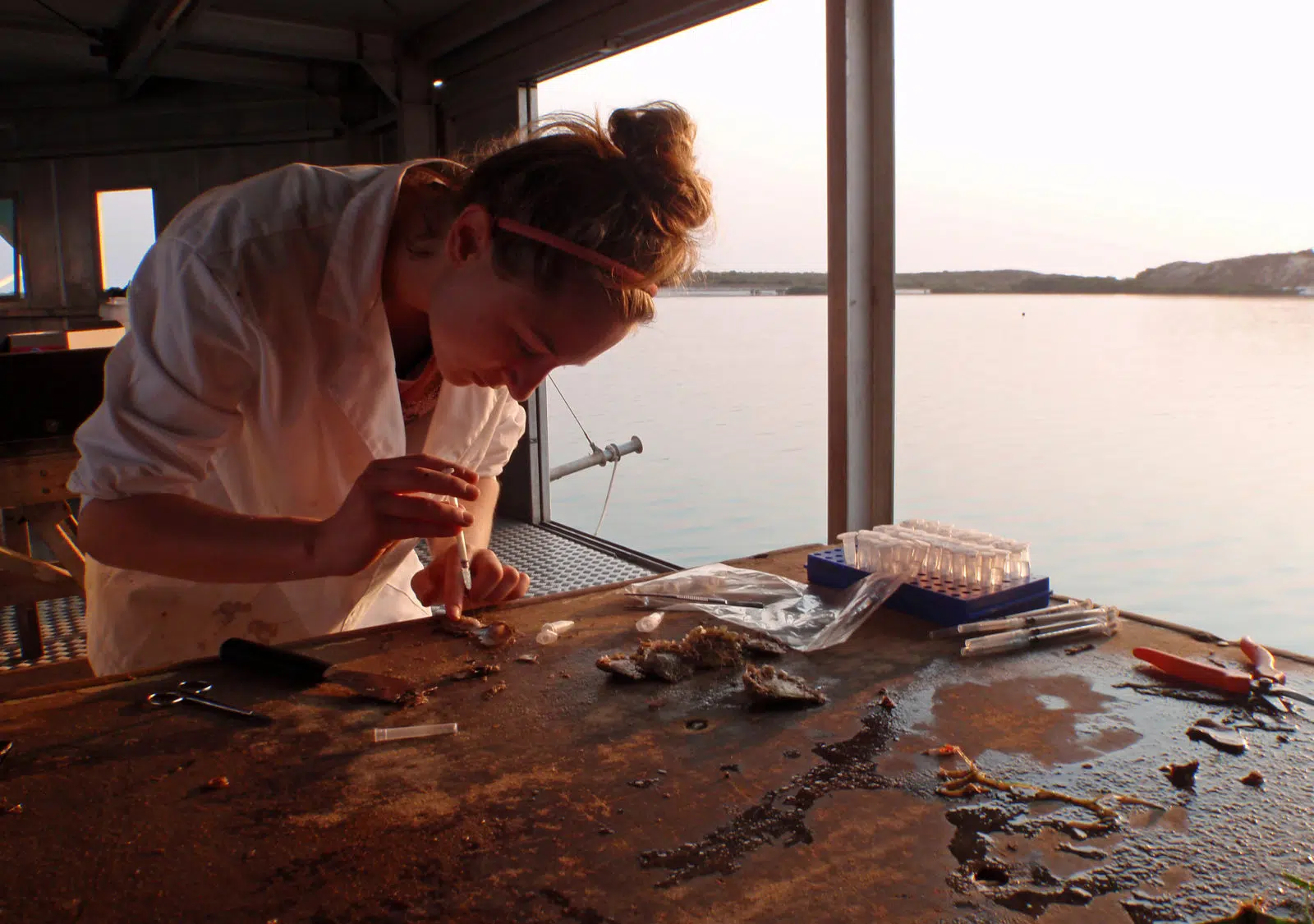 A scientist works at Cygnet Bay, on a boat on the sea. On her table is medical and scientific equipment, as she carries out research for the Kimberley Marine Research Station.