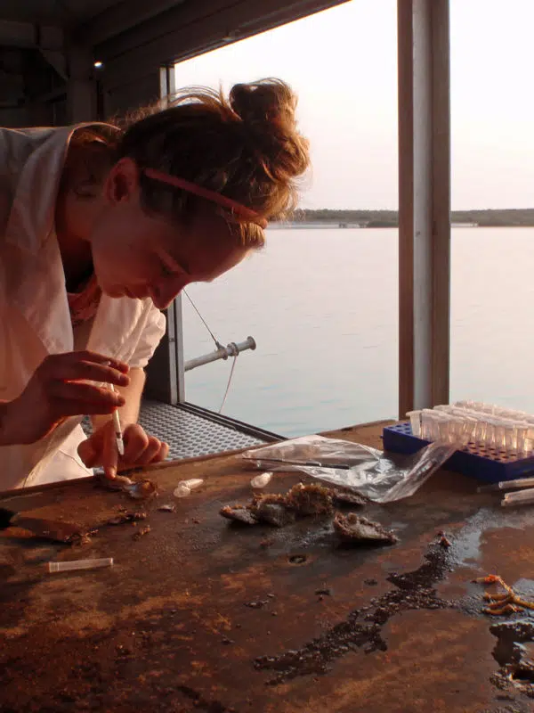 A scientist works at Cygnet Bay, on a boat on the sea. On her table is medical and scientific equipment, as she carries out research for the Kimberley Marine Research Station.
