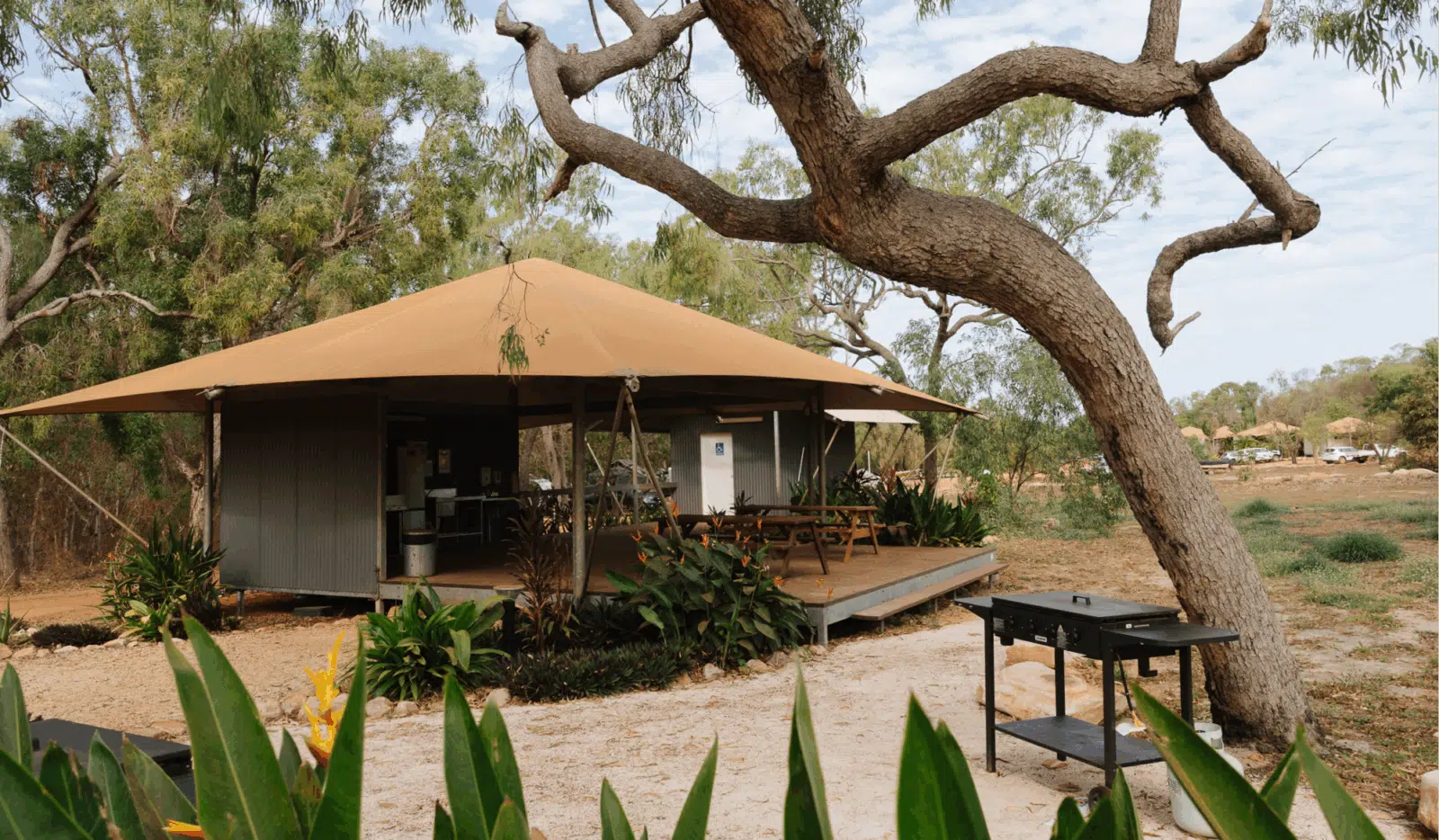 Our Pearler's Village Camping & Caravan site has a shared amenities area that is completely covered to provide shade for our guests. This space is surrounded by lush Australian shrubbery, tall trees, and grass. The amenities included in this particular space is a shared kitchen with a fridge, stove, sink, and food preparation area, as well as a bathroom for guests to use.